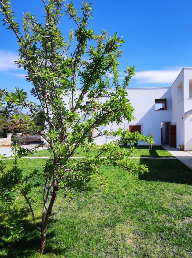 Apartments Leticia Vrsi Exterior photo