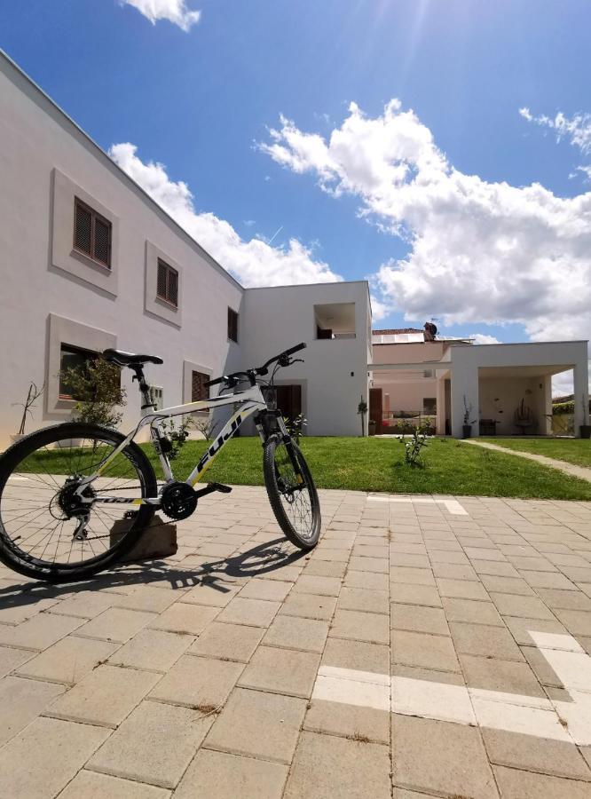 Apartments Leticia Vrsi Exterior photo